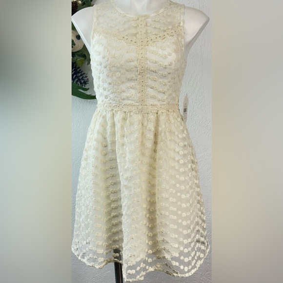 Altar'd State Dresses & Skirts - NWT✨Altar'd State Ivory Floral Lace Overlay Short Mini Dress Size Small